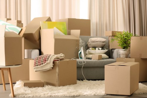 A selection of sturdy cardboard boxes and packing materials for a Bow move